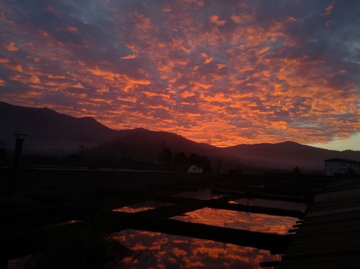 Elorrio. Susana Legarreta