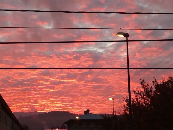 Gernika-Lumo. Iñaki Zegaonaindia