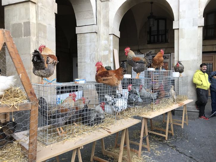 En el Mercado de Navidad de Vitoria-Gasteiz, 21.12.2017