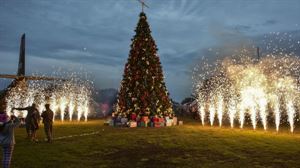 Historia del árbol de navidad y los mercadillos navideños