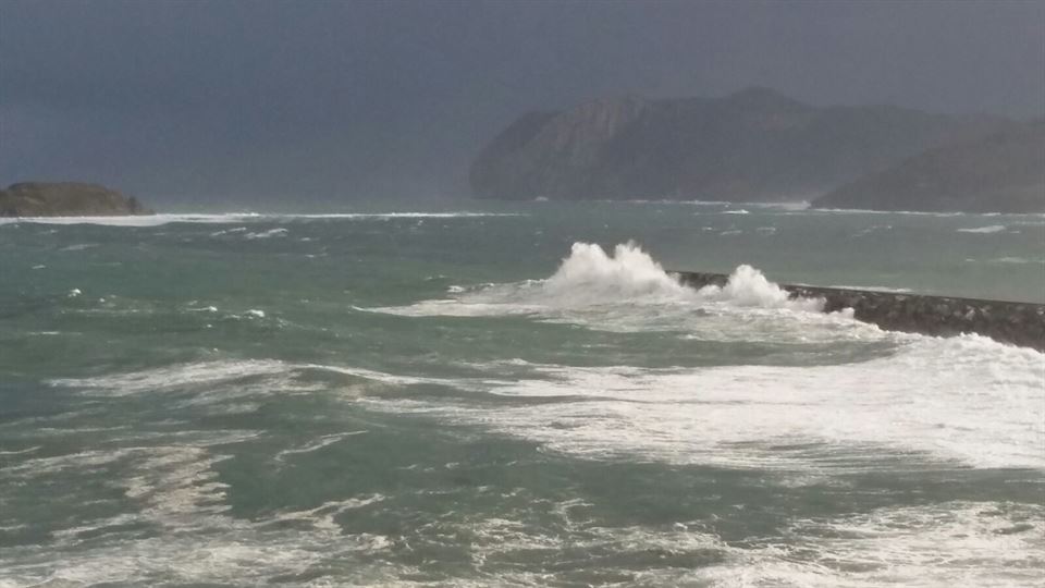 Bermeo. Argazkia: Arantza Azpitarte