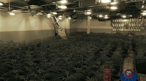 Erresuma Batura marihuana bidaltzen zuen sare bat desegin dute Araban eta Nafarroan