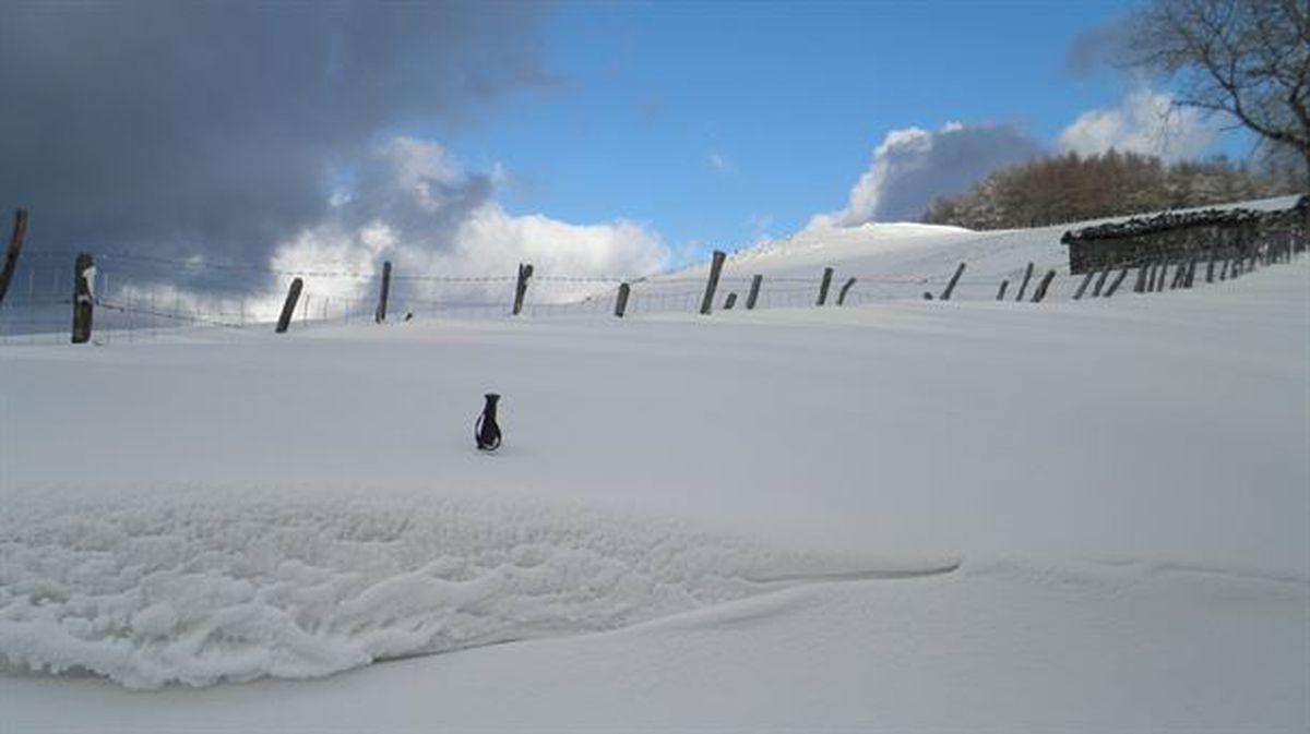 Nieve en Azkoitia. Foto: Xabier Aramendi Alberdi.