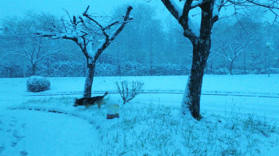 Usurbil. Jon Hernandez Utrera