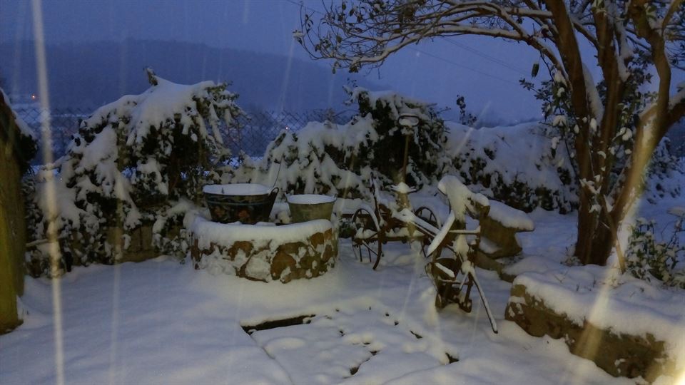 Sopuerta. Garazi Puente