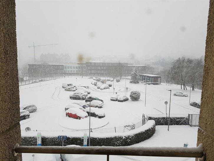 Miramongo aparkalekua. EiTB