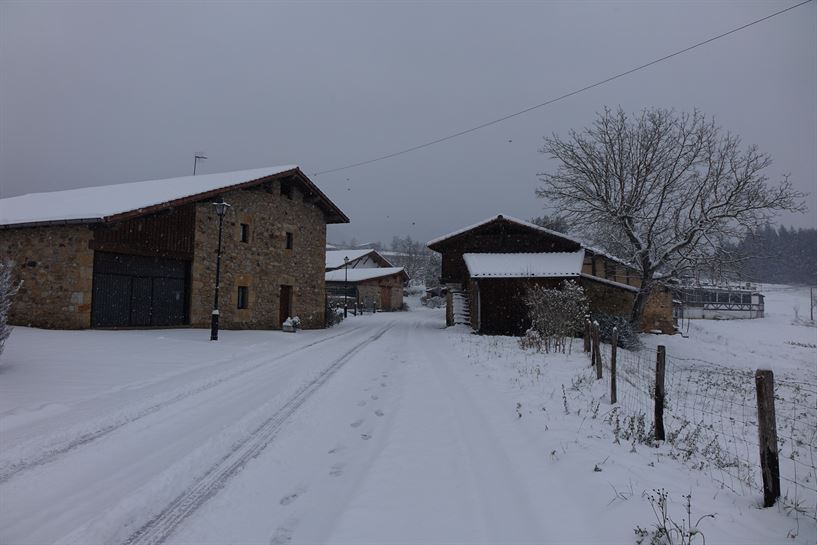 Goiuria. Argazkia: Txaro Ortiz de Zarate