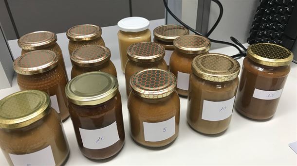 La UPV elige la mejor miel de Araba