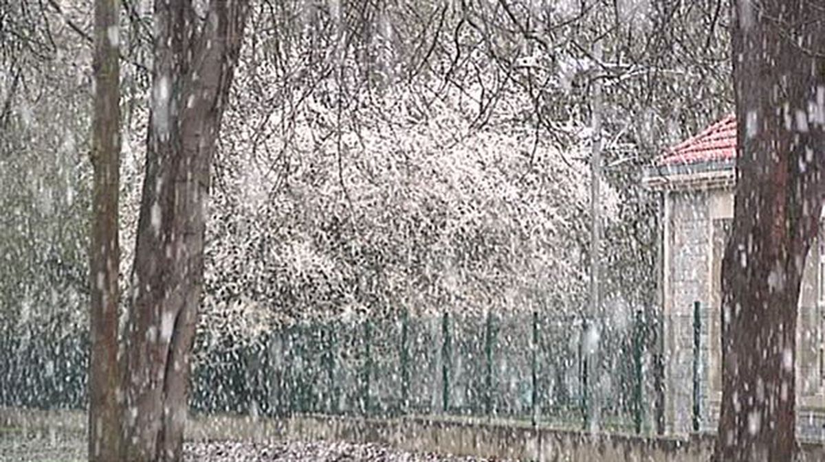 Nieve en Gasteiz