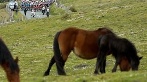 1ª etapa: Pelotón. Foto: EFE