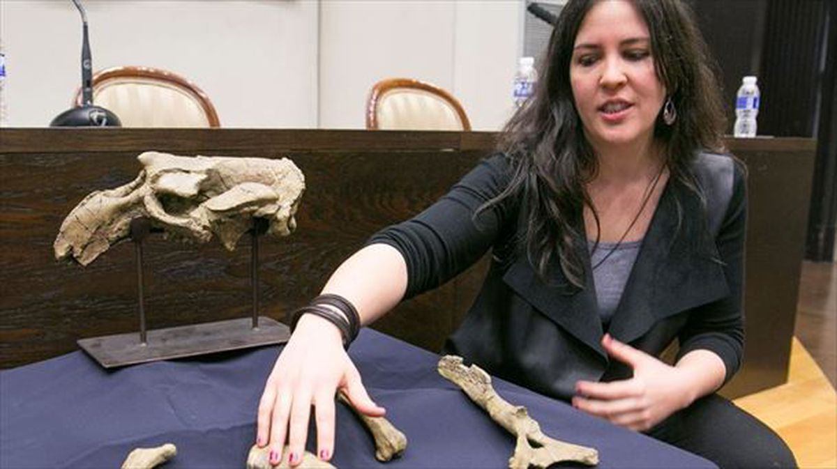 Sirenidoaren aztarna paleontologikoak Ester Diaz Berenguer irakasleak aurkeztuta. Argazkia: EFE.