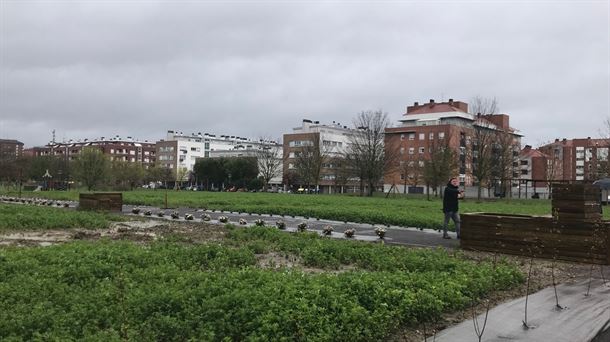 Vitoria-Gasteiz estudia el estado de salud de sus ecosistemas agrícolas
