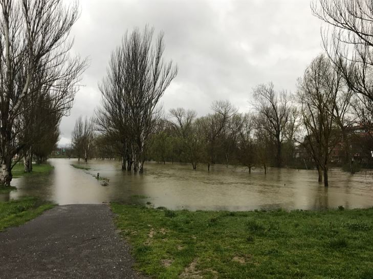 Foto: Radio Vitoria.