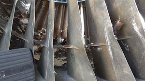 Alcaldes del Txorierri piden medidas tras el choque de un avión y un buitre en Loiu