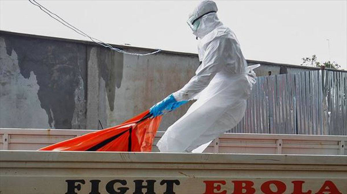 Osasun langile bat ebolaz hildako pertsona baten hilotza mugitzen. Argazkia: EFE