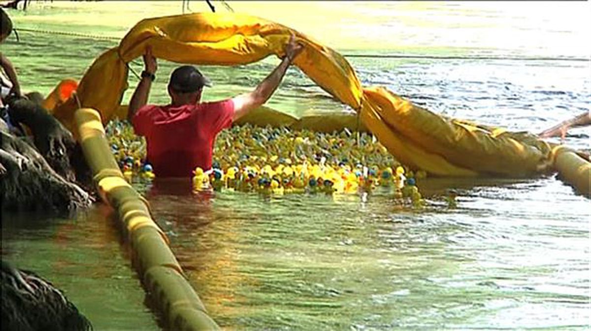 Cientos de patos de goma han nadado hoy por el río Arga. Foto: EiTB