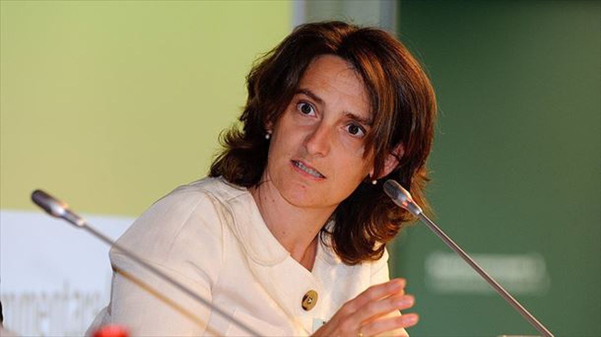 Teresa Ribera acepta ser ministra de Transición Energética y Medio Ambiente