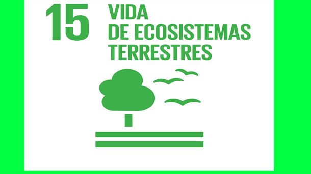 ODS 15 - Vida de ecosistemas terrestres