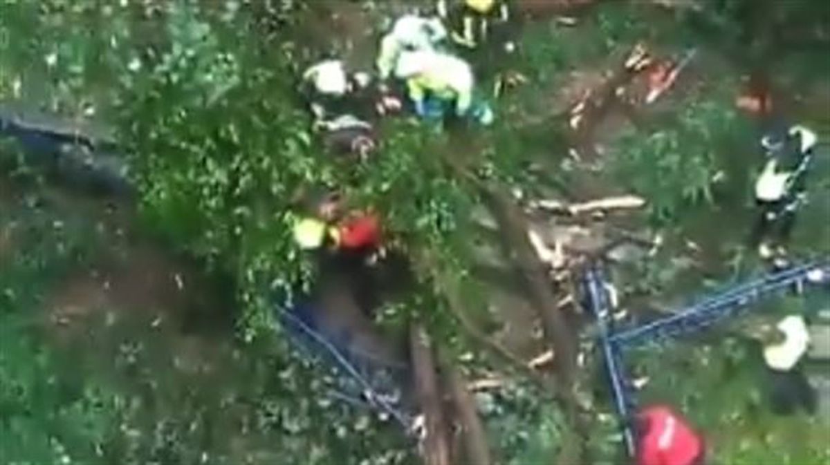 Rescate del hombre atrapado por un árbol en Errenteria (Gipuzkoa). Imagen: Bomberos de Euskadi