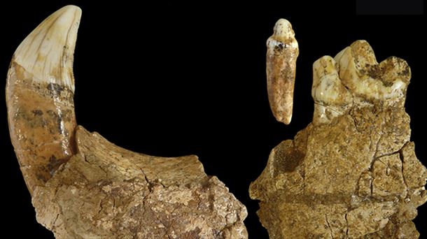400 millones de años de registro fósil y los habitantes de las fumarolas