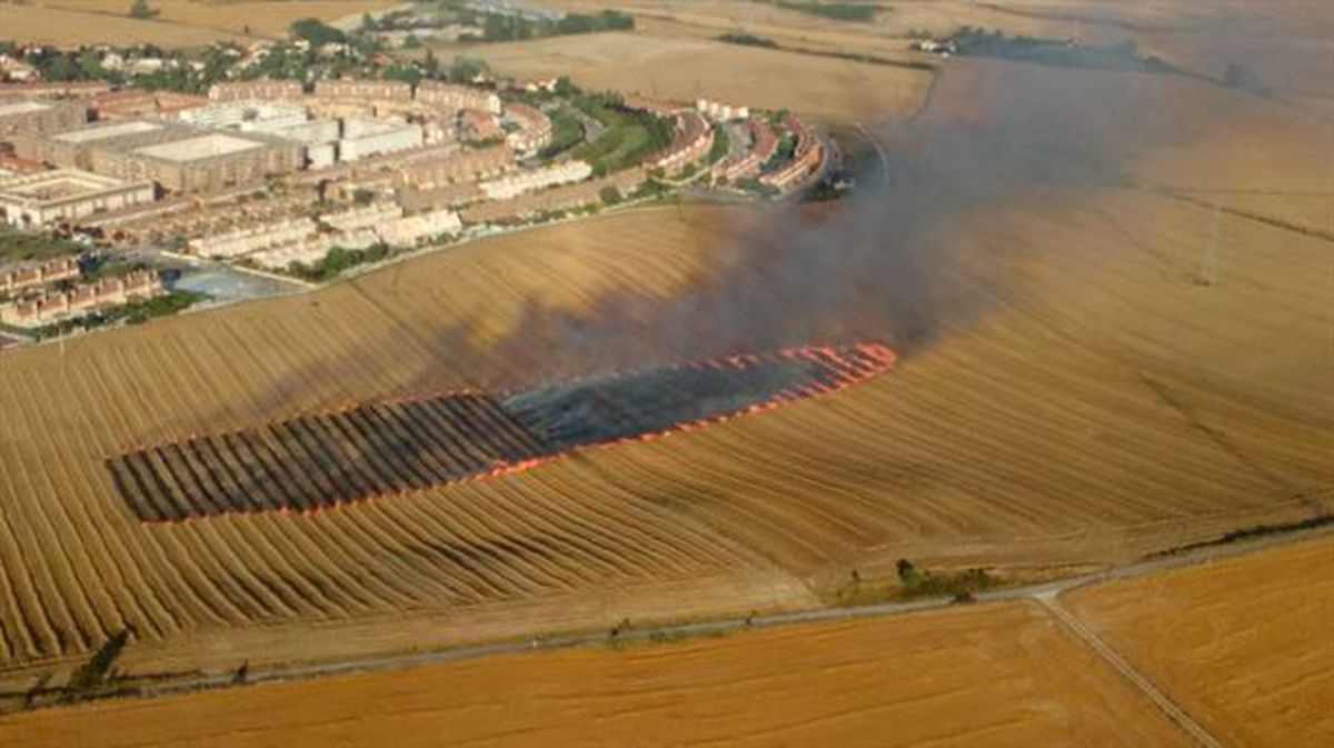 Ha sido arrasada una gran extensión de tierra dedicada a la agricultura