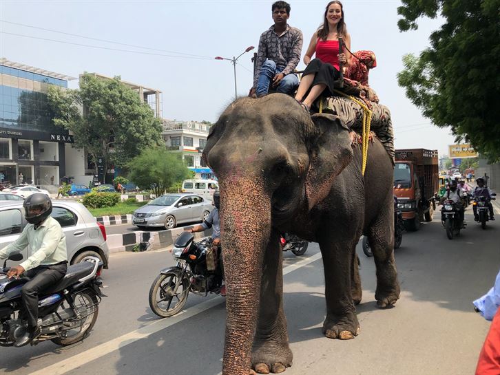 Vascos por el mundo por tierra, mar, aire y… ¡elefante!