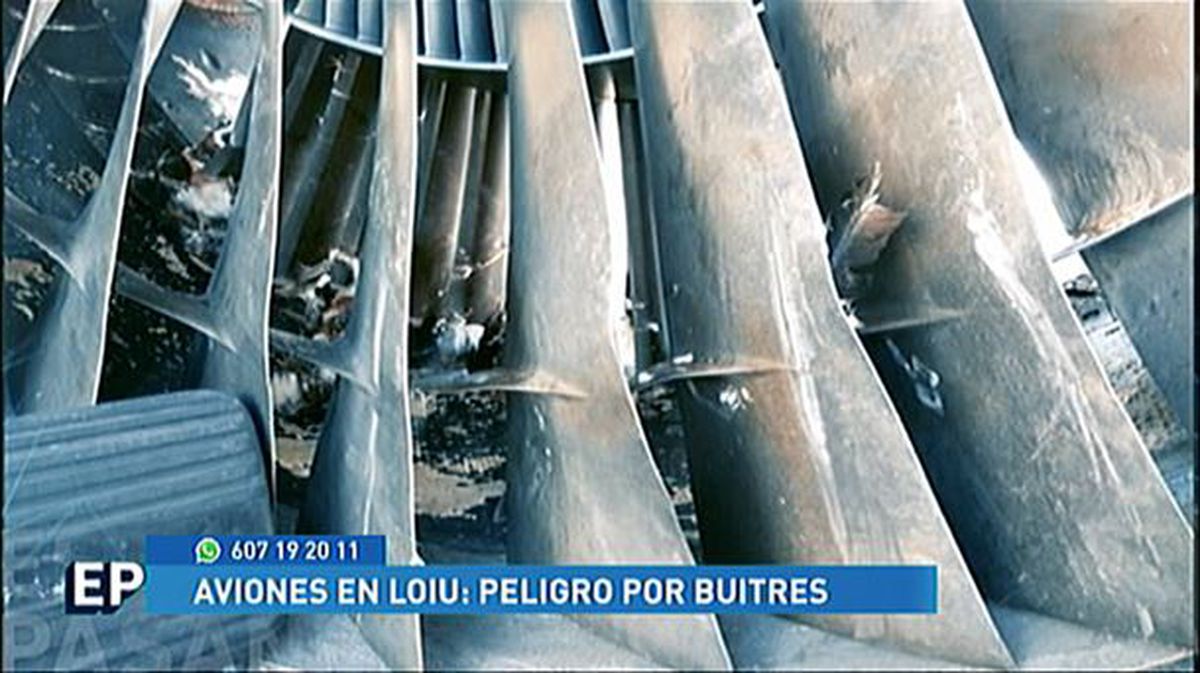 Piden medidas tras choques de aviones con buitres en el aeropuerto de Loiu