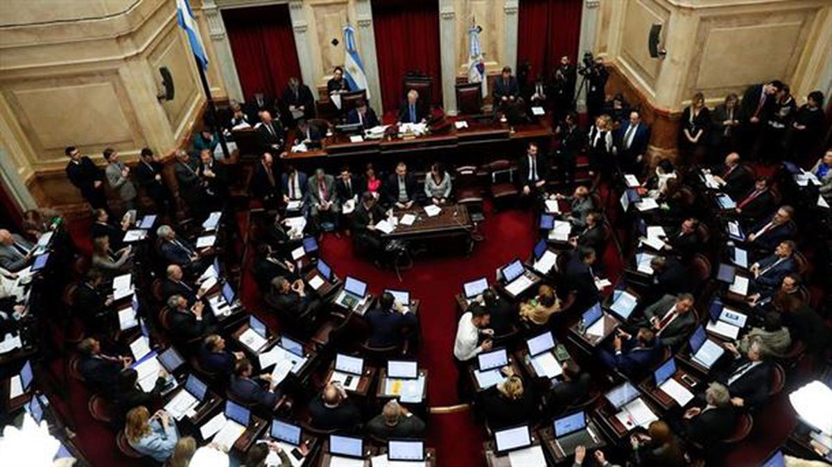 El Senado argentino rechaza el proyecto de ley para legalizar el aborto