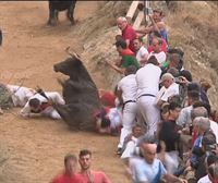 Varios heridos en un peligroso encierro del Pilón de Fálces