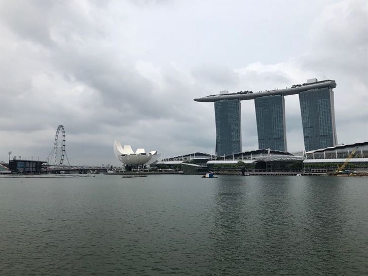 La escultura del Merlion es el símbolo de la ciudad de Singapur, se le conoce como la "Ciudad del León"
