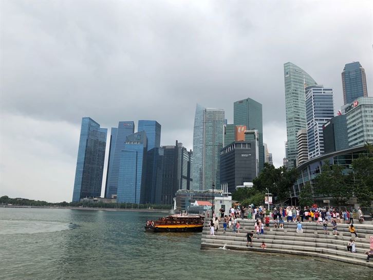 La Escultura del Merlion es el símbolo de la ciudad de Singapur, se le conoce como la "Ciudad del León"