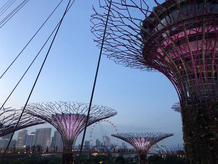 Gardens by the bay o Jardines de la bahía,  es el "Arca de Noé" de las plantas donde tienen especies de todo el mundo