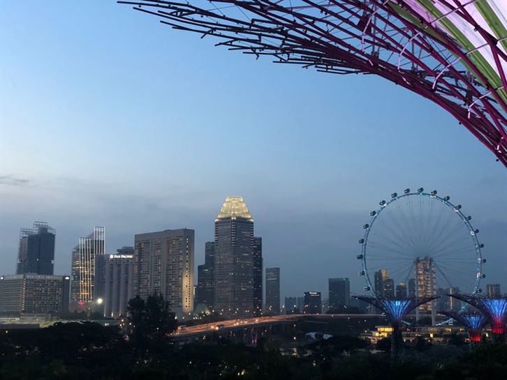 Desde los jardines las vistas del skyline y del hotel Marina Bay Sands son impresionantes