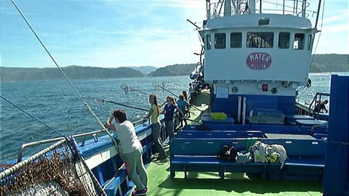 Barco-museo Mater de Pasaia