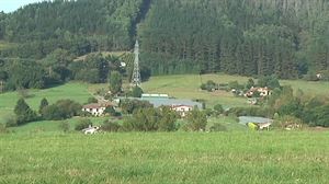 Intervienen un matadero clandestino de ovejas y corderos en Lezama