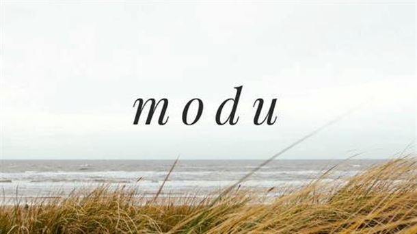 MODU = modo = moda