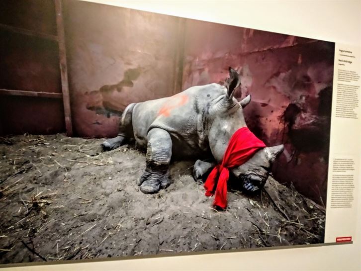 World Press Photo 2018