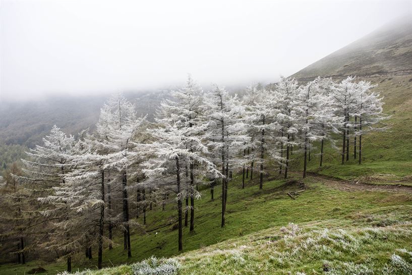 Baztan. Foto: Juan Lameirinhas