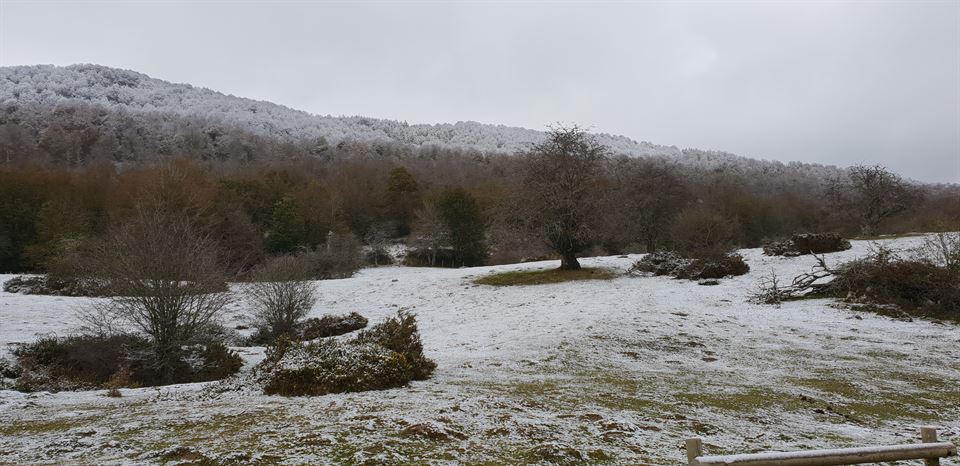 Aralar. Foto: Jose Luis Azpiroz
