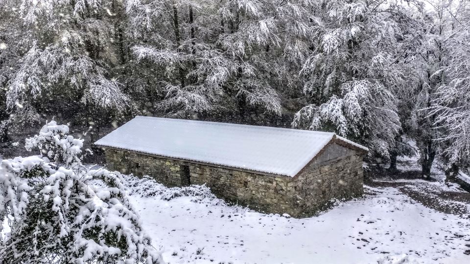 Orixol. Foto: José Luis Madina