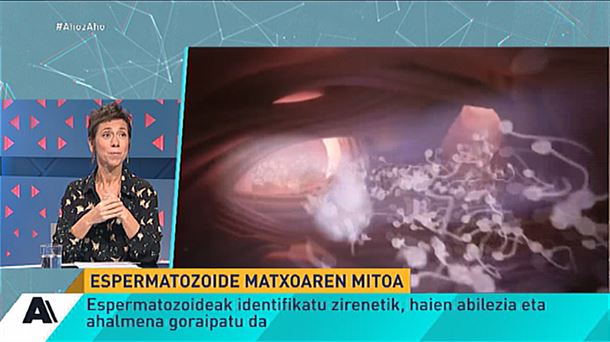 Ugalketaren gezurrak: espermatozoideen mitifikazioa eta gizonezkoen egoa