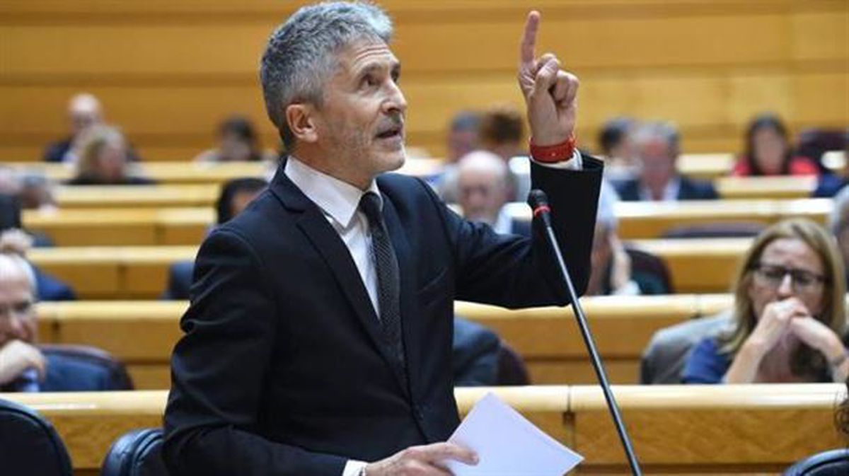 El ministro del Interior, Fernando Grande-Marlaska, en el Senado. Foto: EFE