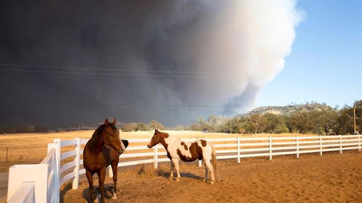 Un incendio declarado en California obliga a evacuar a 20.000 personas