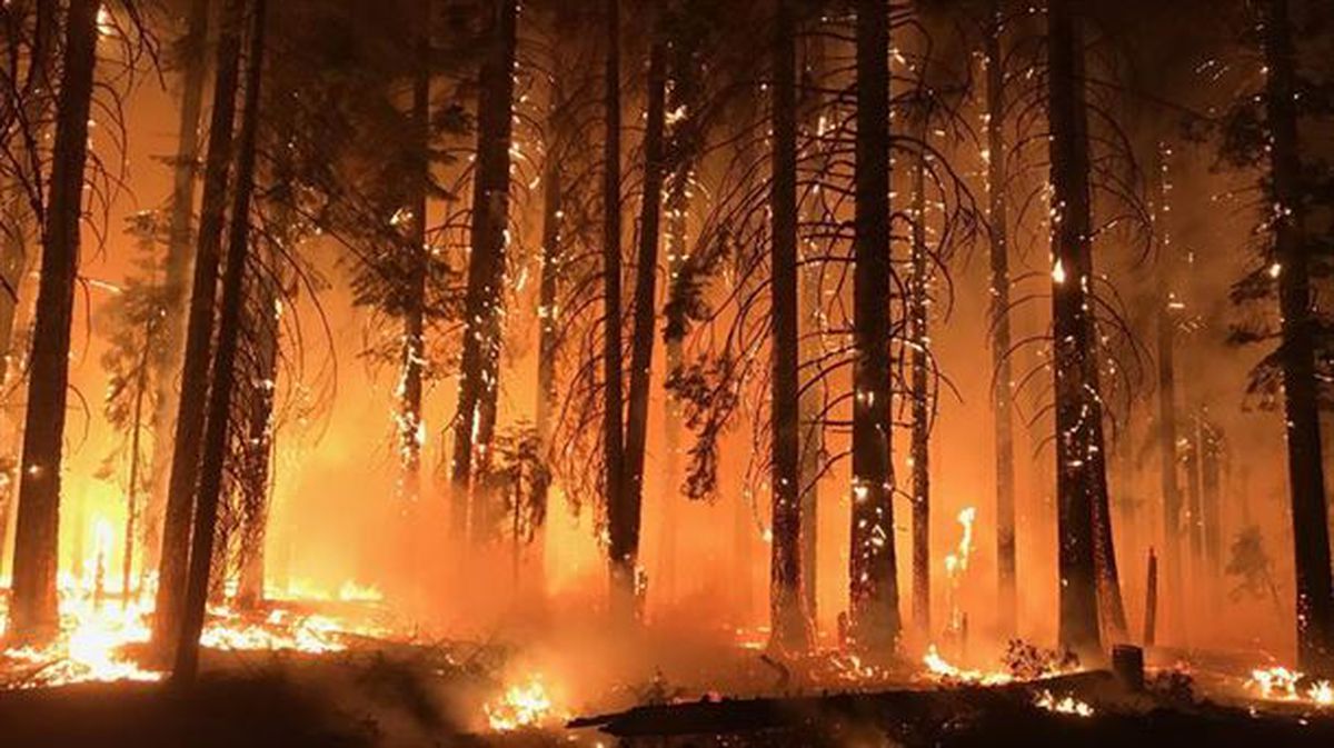 Los bomberos siguen combatiendo las llamas en el incendio de 'Camp Fire'