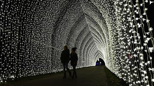 Luces de Navidad. 