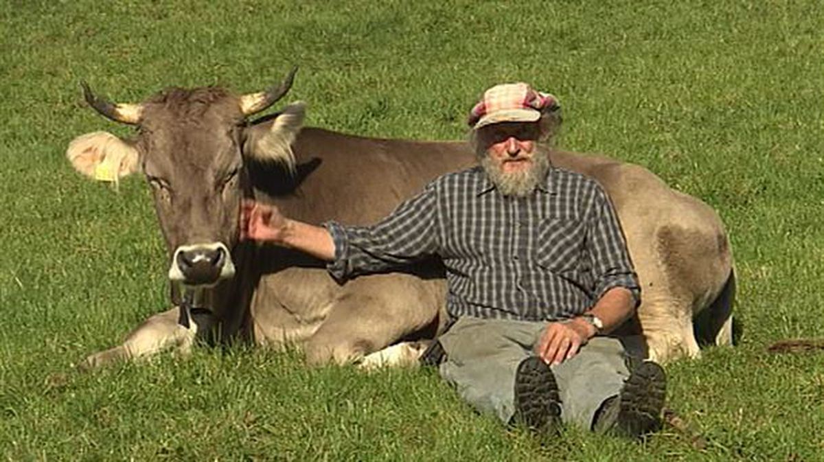 Vaca y su dueño sentados en la hierba