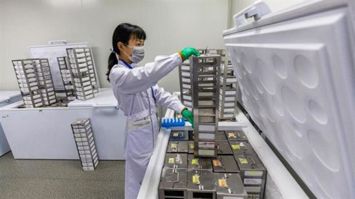 Laboratorio de investigación de ADN para la secuenciación de genes, en Nanjing (China). 