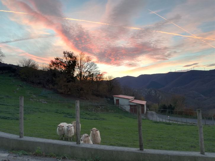 Arantzatzu. Argazkia: Gomiztegi Artzain Eskola