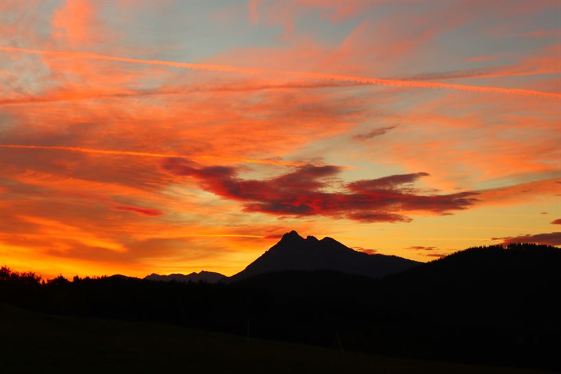 Berriz. Argazkia: Txaro Ortiz de Zárate.