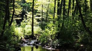 Nubarrones sobre el futuro de Bolintxu por las obras de la Supersur        